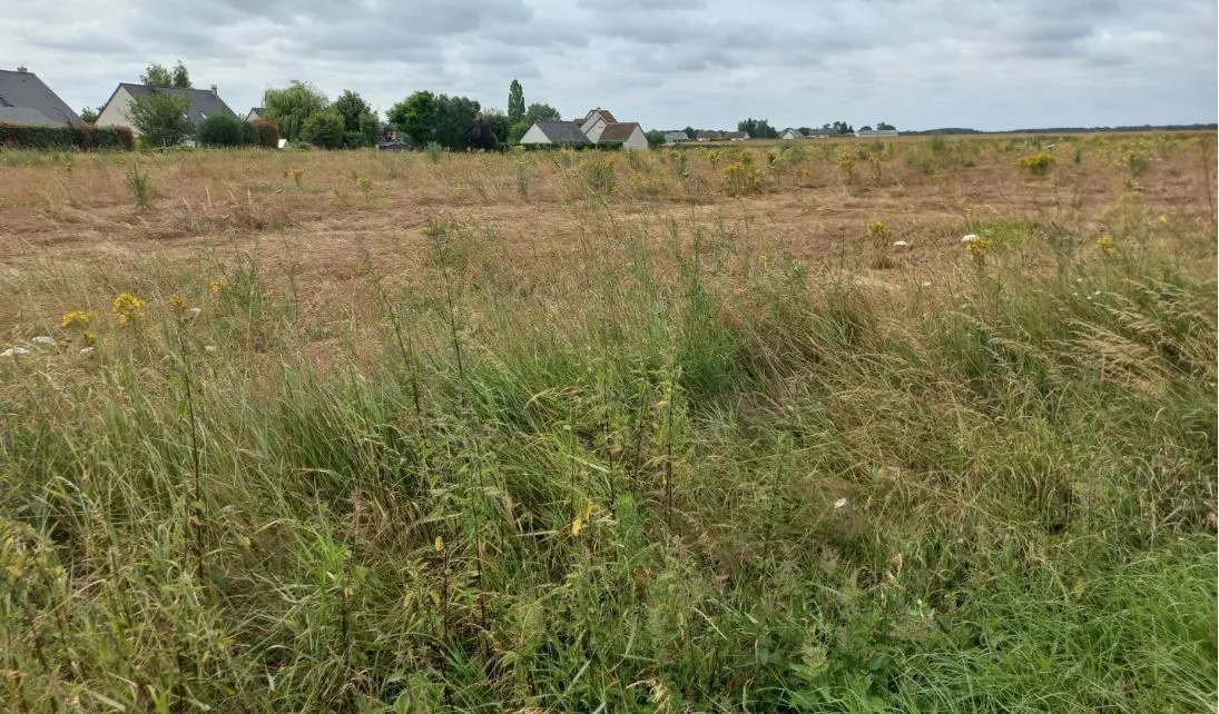 Terrain à bâtir 513 m² à Saint-Laurent-en-Gâtines (37380)