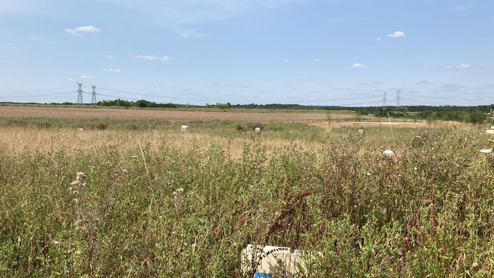 Terrain à bâtir 306 m² à Chanceaux-sur-Choisille (37390)