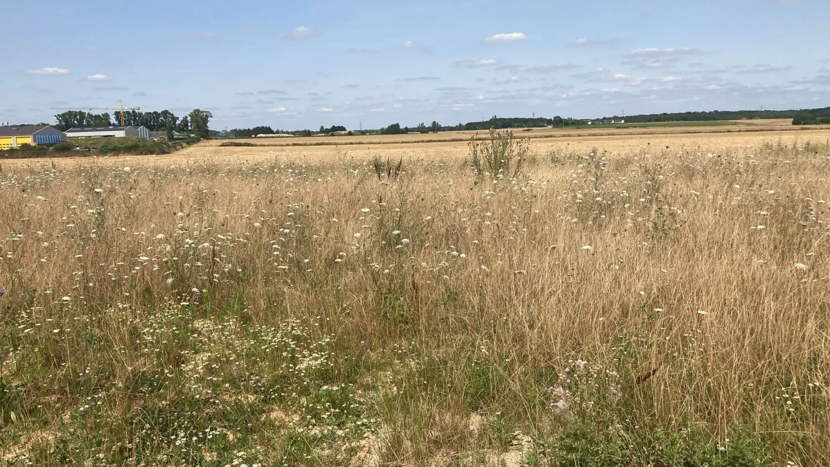 Terrain à bâtir 423 m² à Parçay-Meslay (37210)