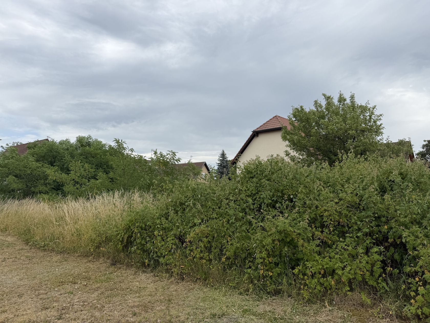 Maison neuve 104 m² à Thann (68800)
