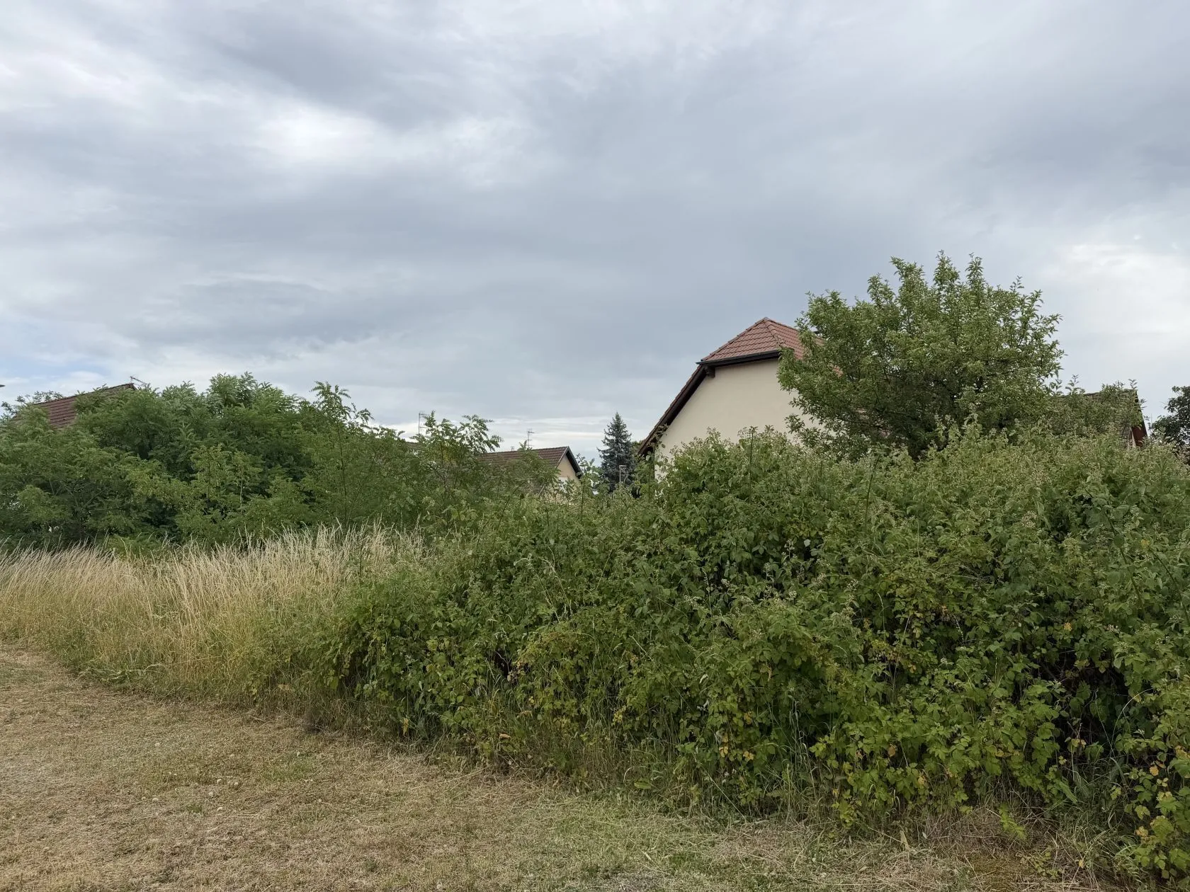 Maison neuve 90 m² à Thann (68800)
