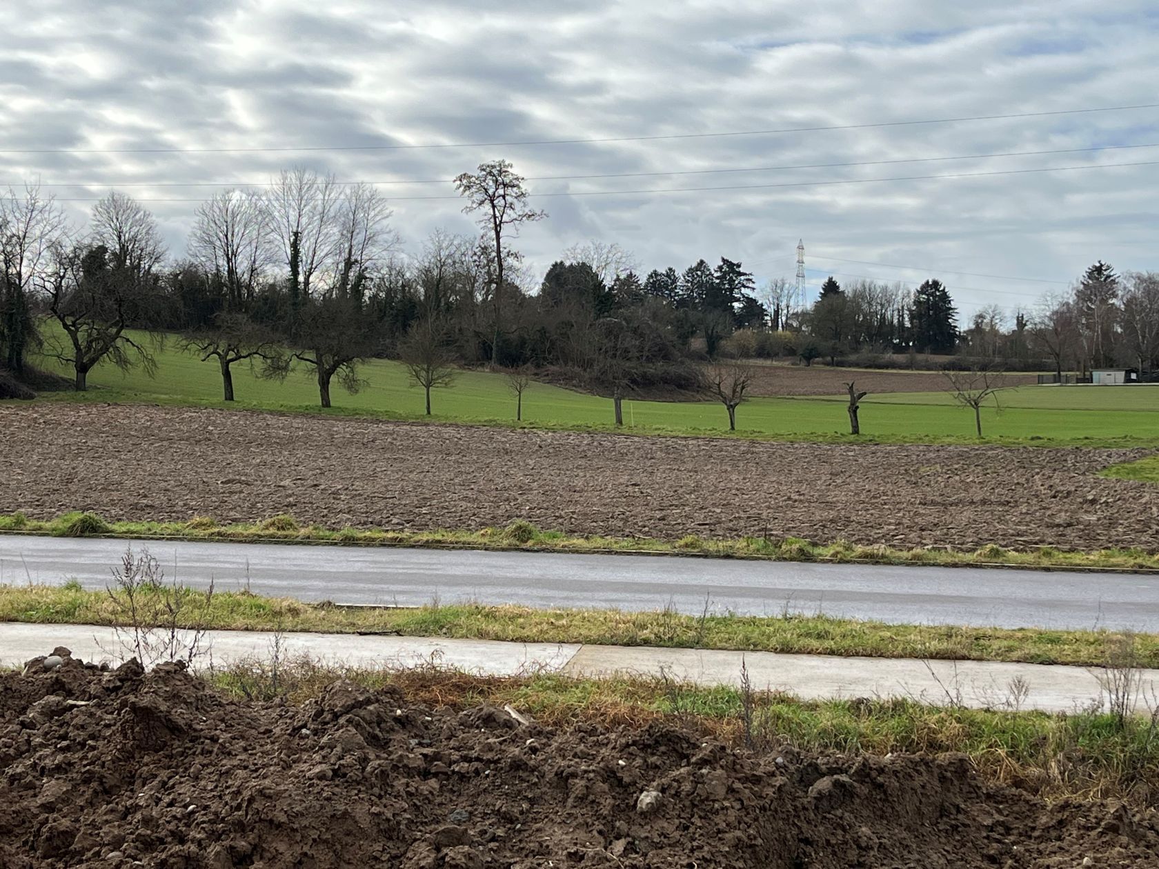 Maison neuve 93 m² à Morschwiller-le-Bas (68790)