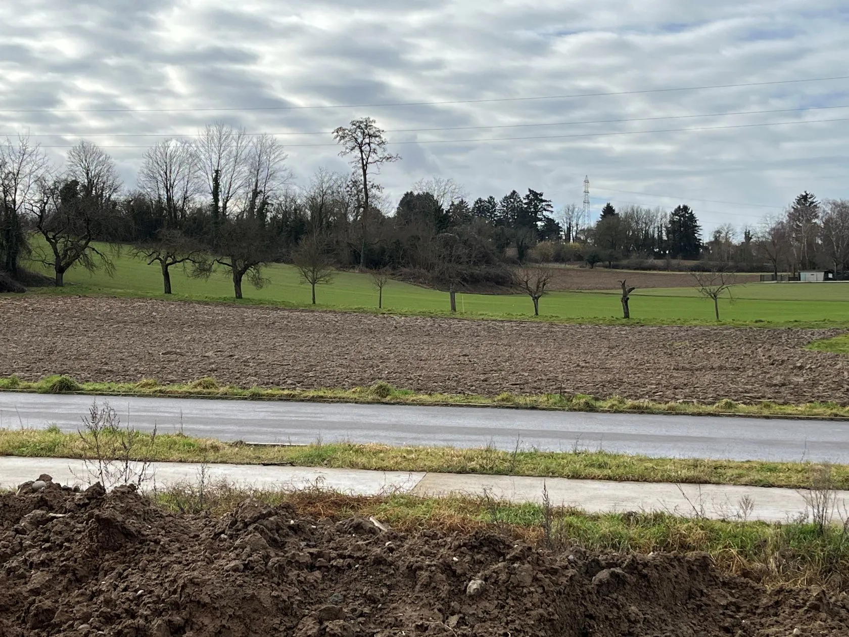 Maison neuve 93 m² à Morschwiller-le-Bas (68790)