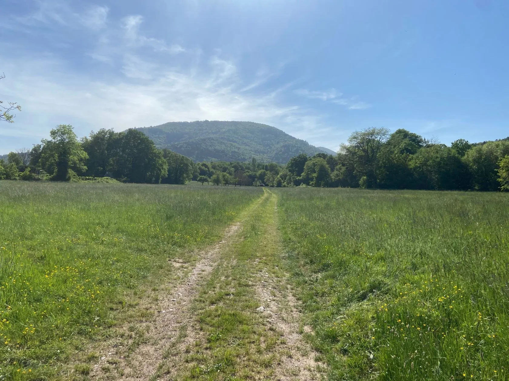 Terrain à bâtir 883 m² à Wuenheim (68500)
