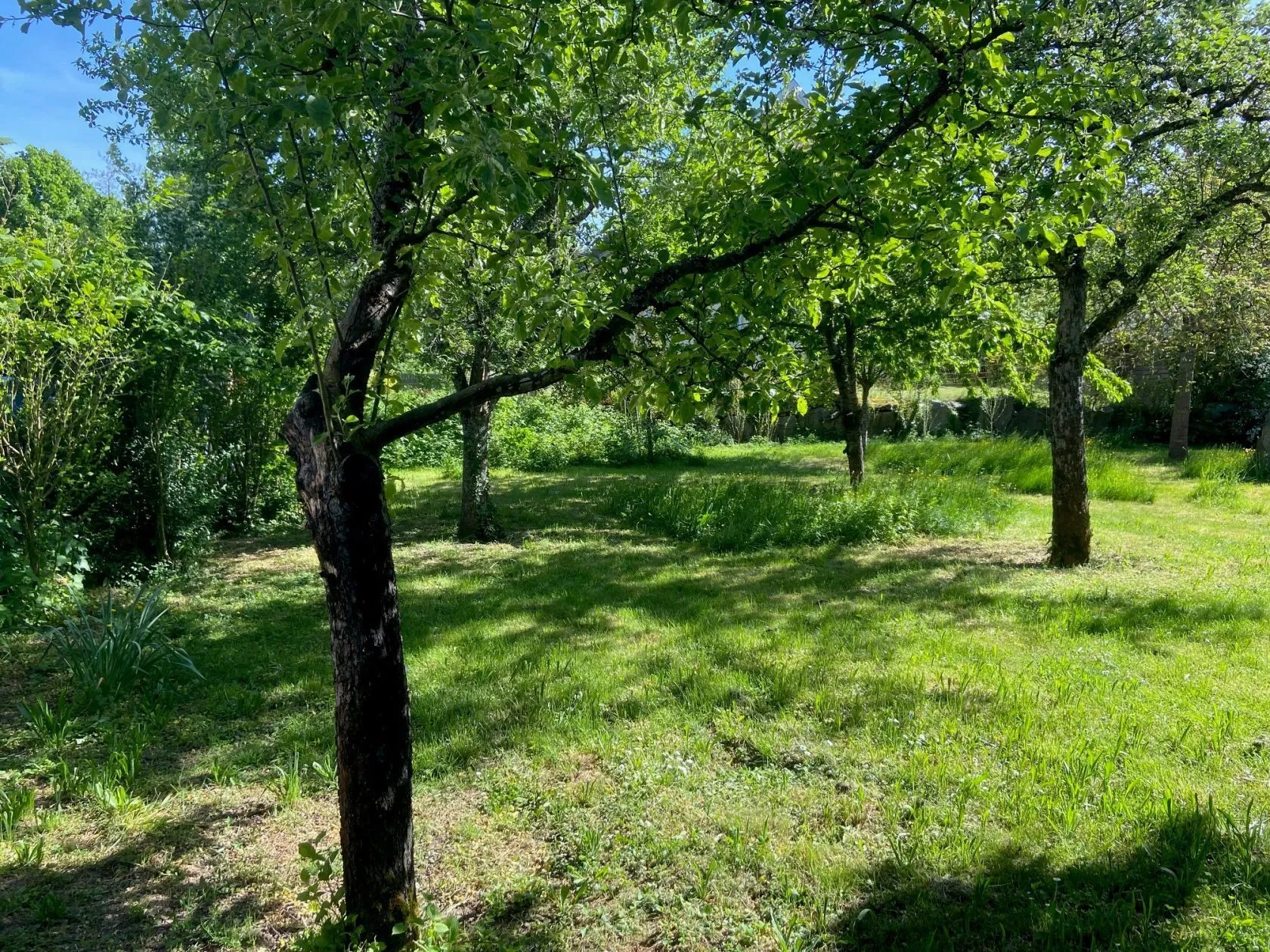 Terrain à bâtir 883 m² à Wuenheim (68500)