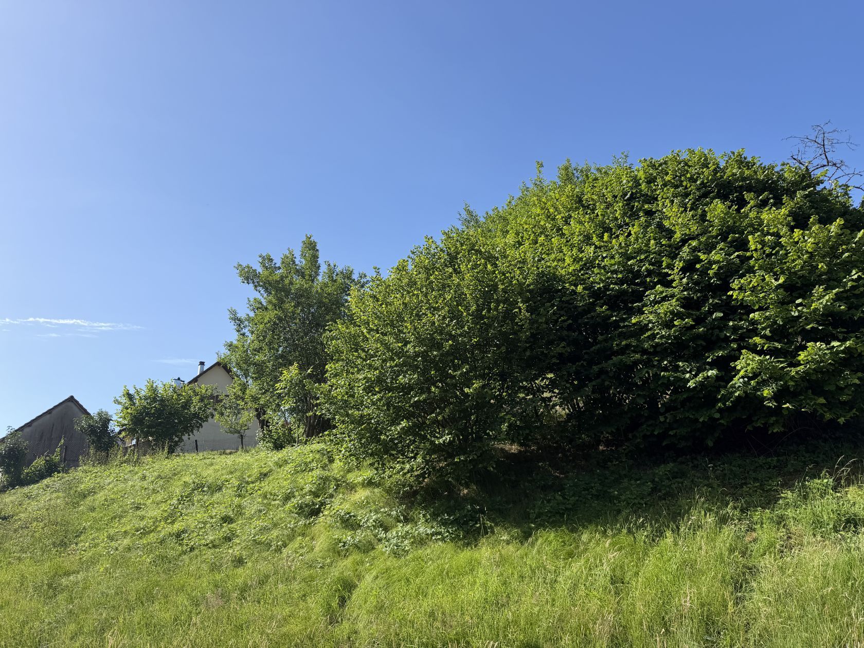 Maison neuve 120 m² à Masevaux (68290)