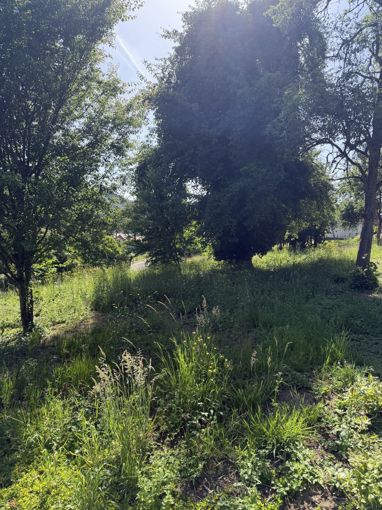 Maison neuve 120 m² à Masevaux (68290)