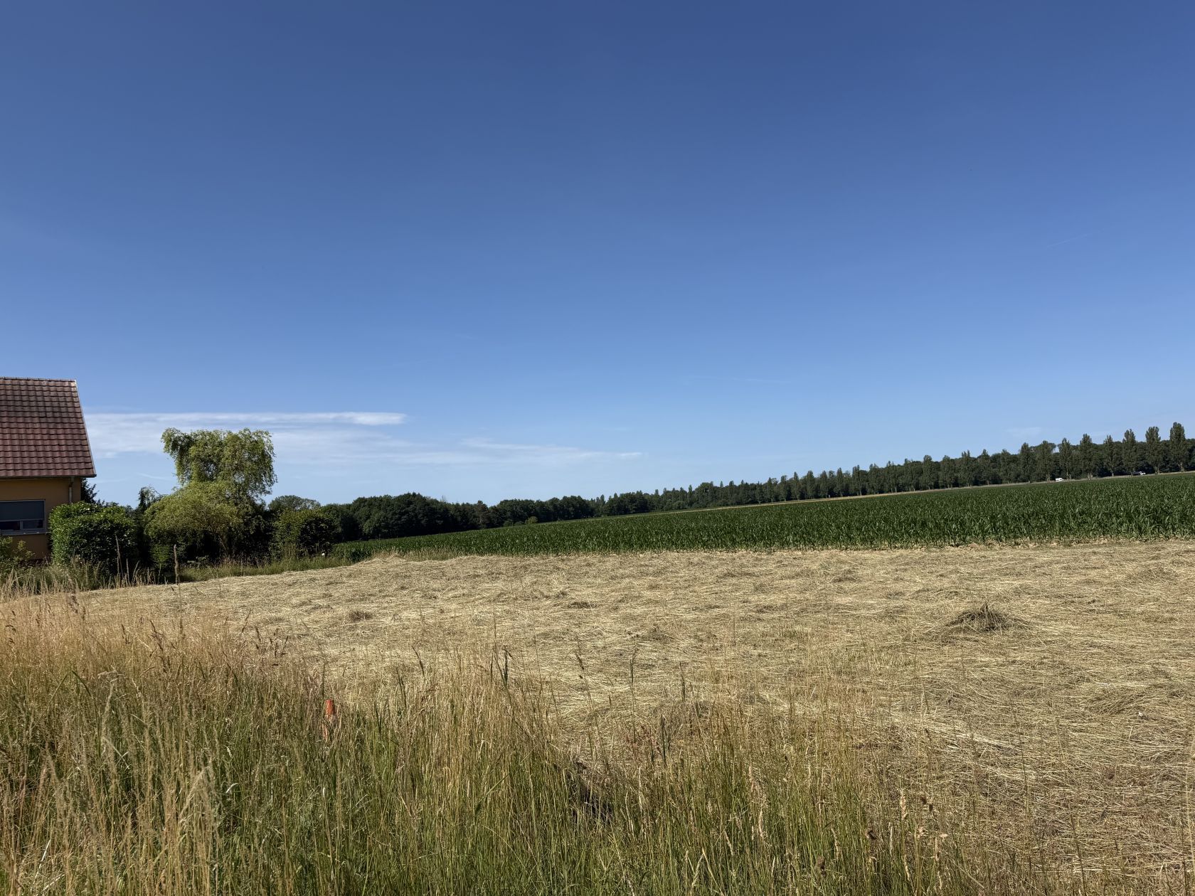 Maison neuve 110 m² à Burnhaupt-le-Haut (68520)