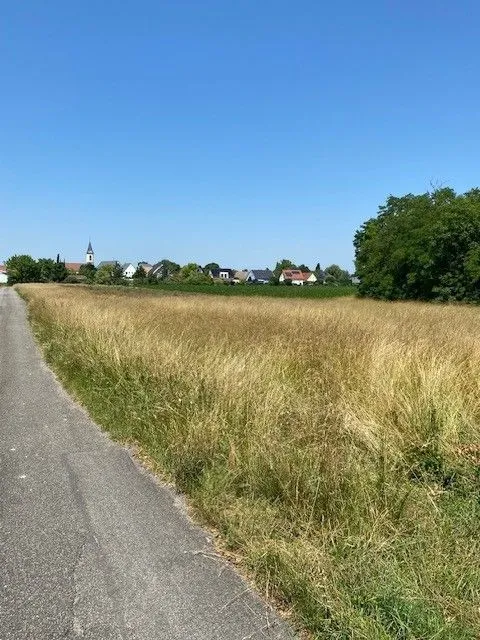 Maison neuve 91 m² à Algolsheim (68600)
