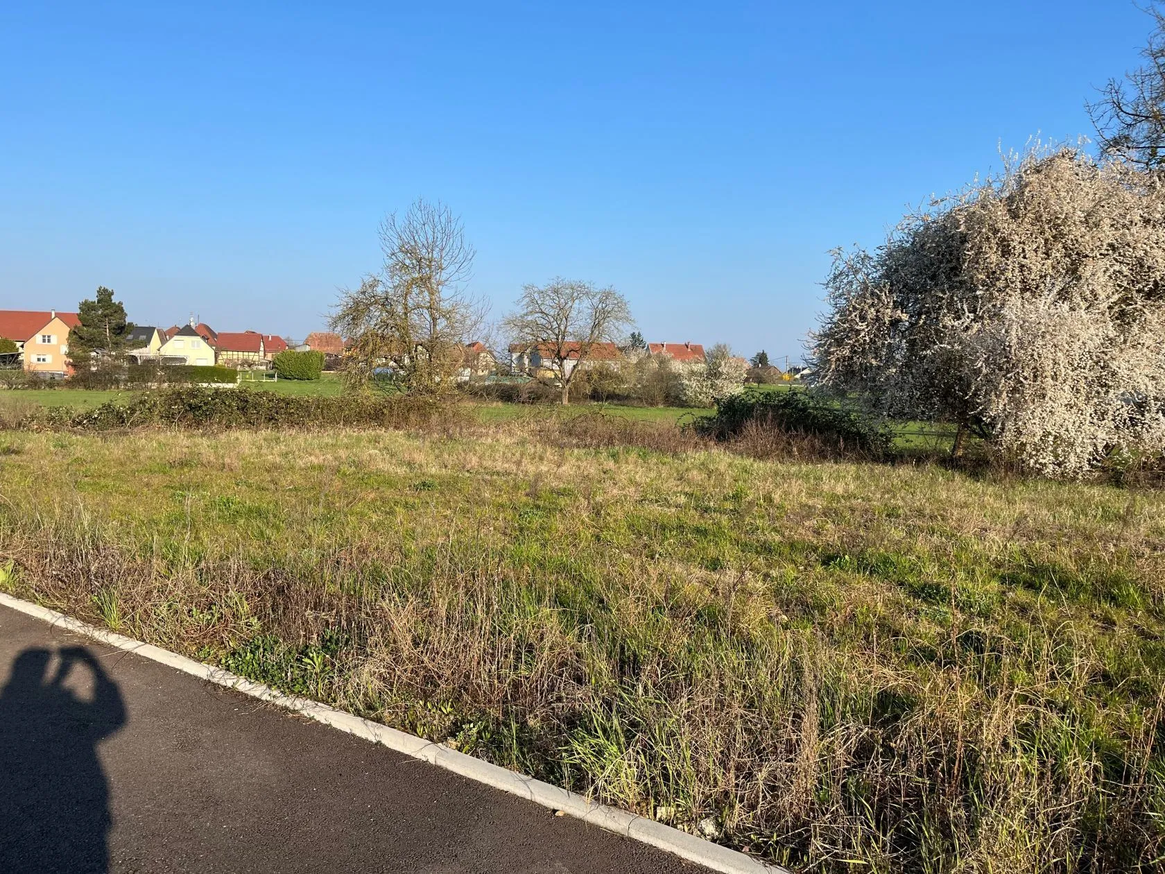 Maison neuve 100 m² à Dannemarie (68210)