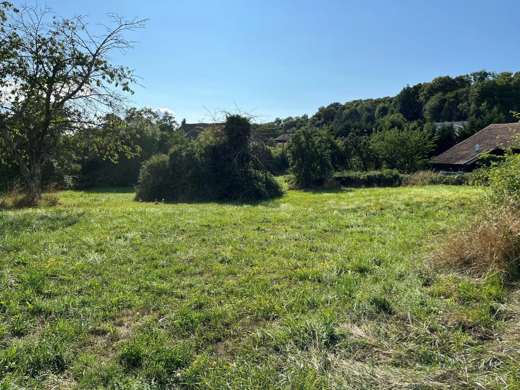 Terrain à bâtir 1100 m² à Traubach-le-Haut (68210)