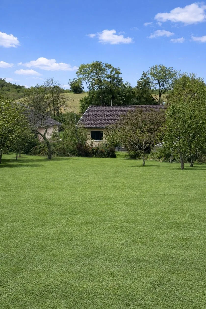 Maison neuve 100 m² à Kappelen (68510)