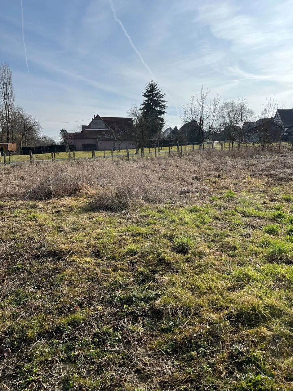 Maison neuve 110 m² à Jettingen (68130)