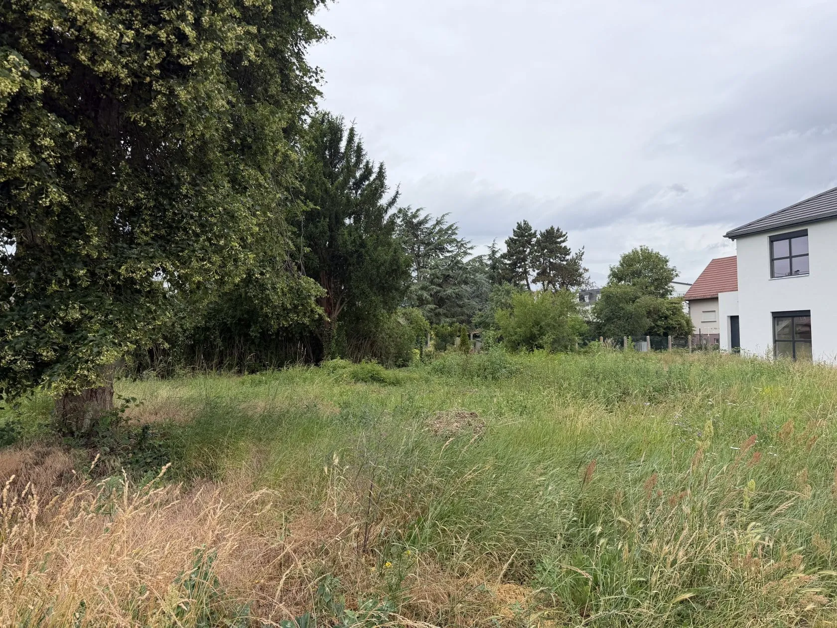 Maison neuve 100 m² à Wittelsheim (68310)