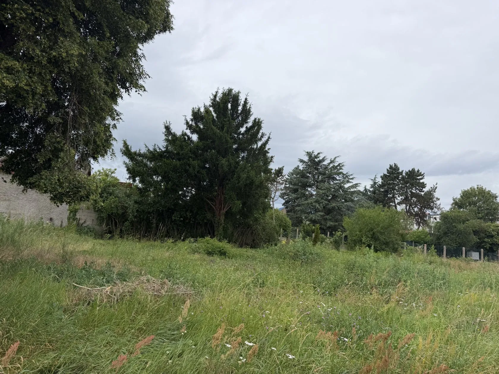 Maison neuve 100 m² à Wittelsheim (68310)