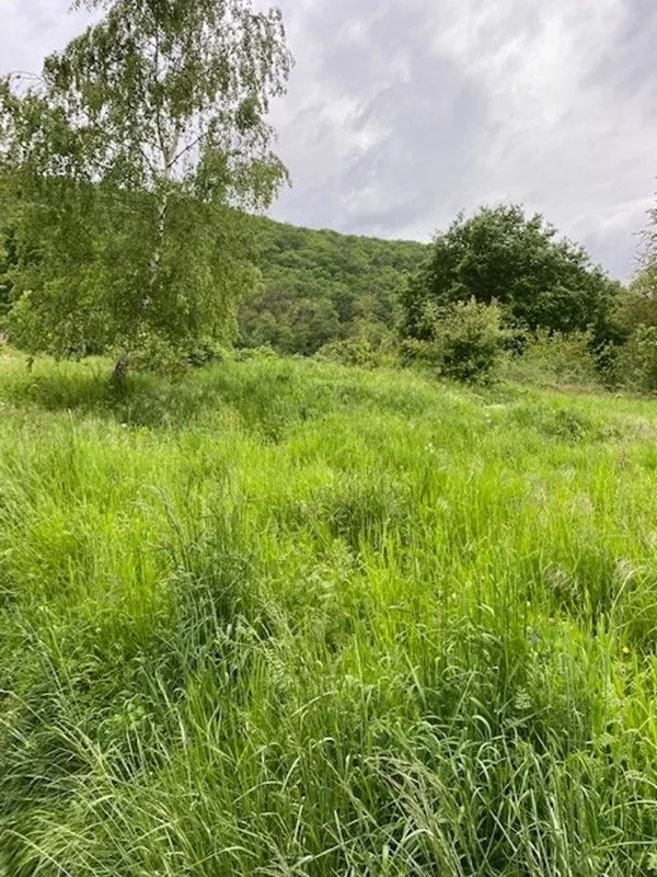 Maison neuve 163 m² à Soultzmatt (68570)