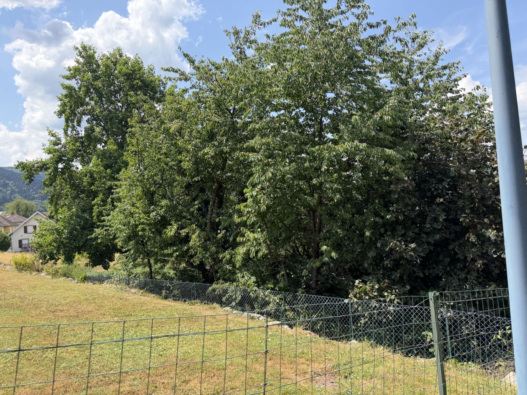Terrain à bâtir 346 m² à Masevaux-Niederbruck (68290)