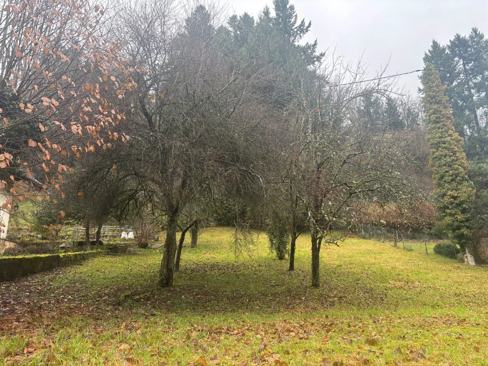 Maison neuve 101 m² à Thann (68800)