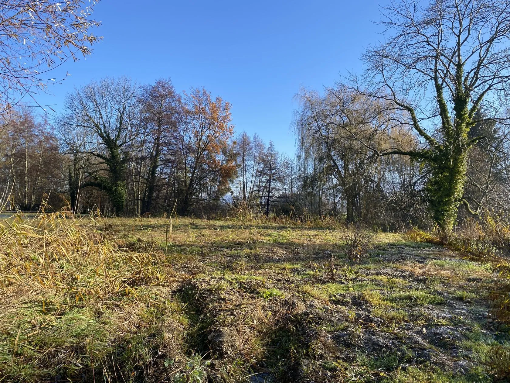 Maison neuve 110 m² à Lutter (68480)