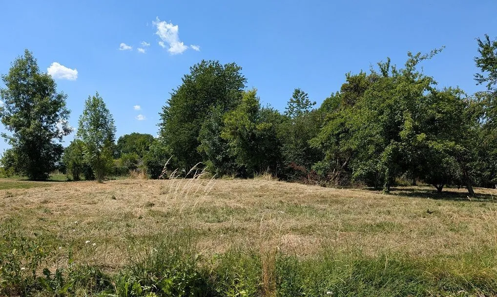 Maison neuve 139 m² à Buc (90800)
