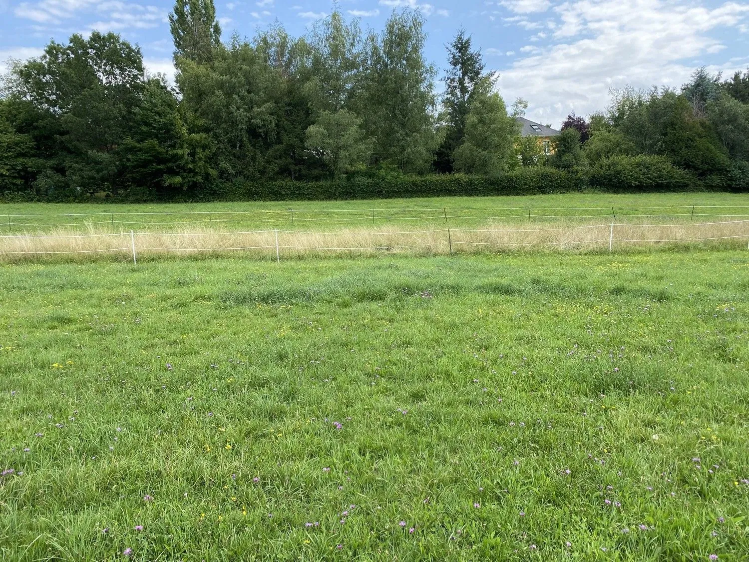 Maison neuve 114 m² à Bavilliers (90800)