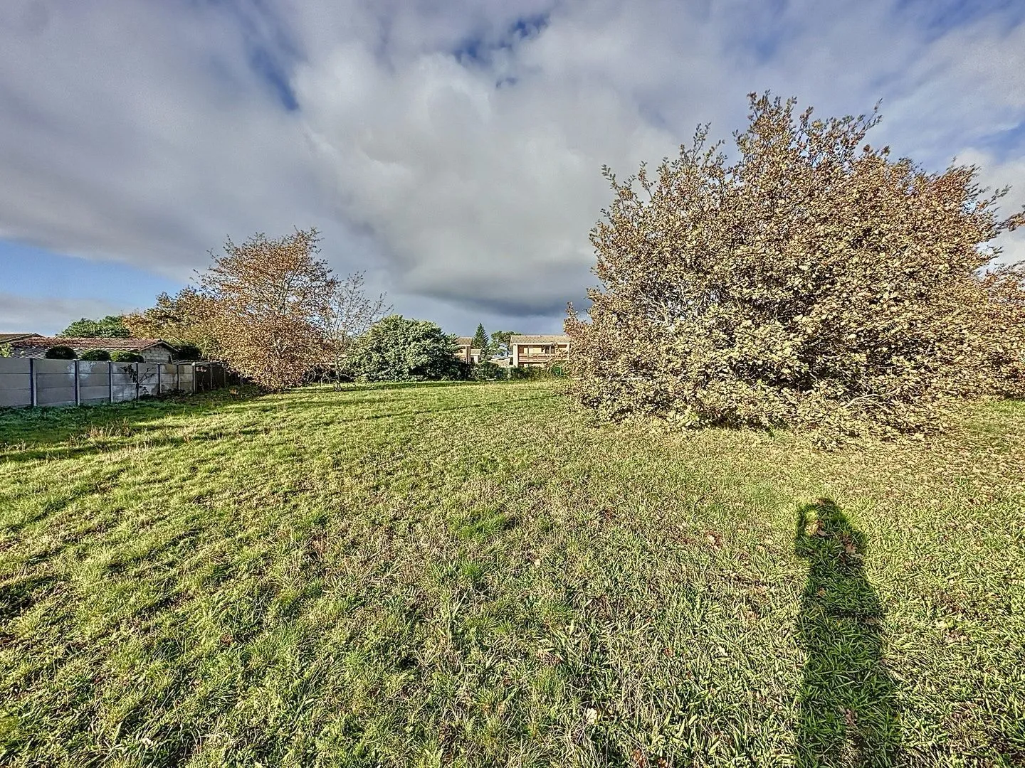Terrain à bâtir 1550 m² à Belin-Béliet (33830)