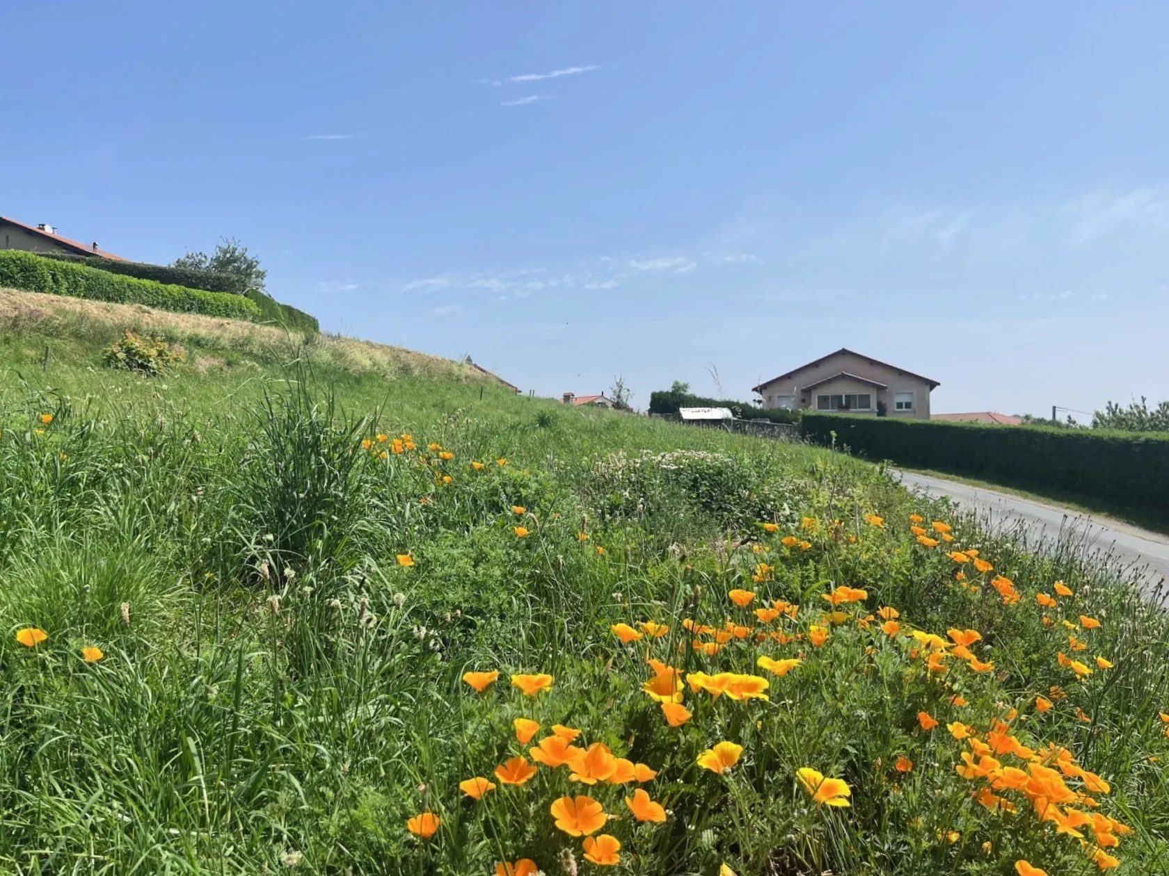 Terrain en pente acces par le bas Anthony — modèle de maison