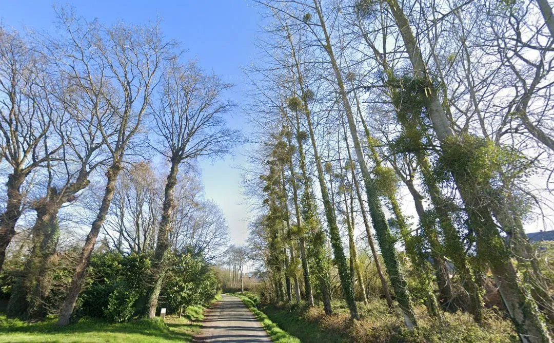 Terrain à bâtir 292 m² à Montauban-de-Bretagne (35360)