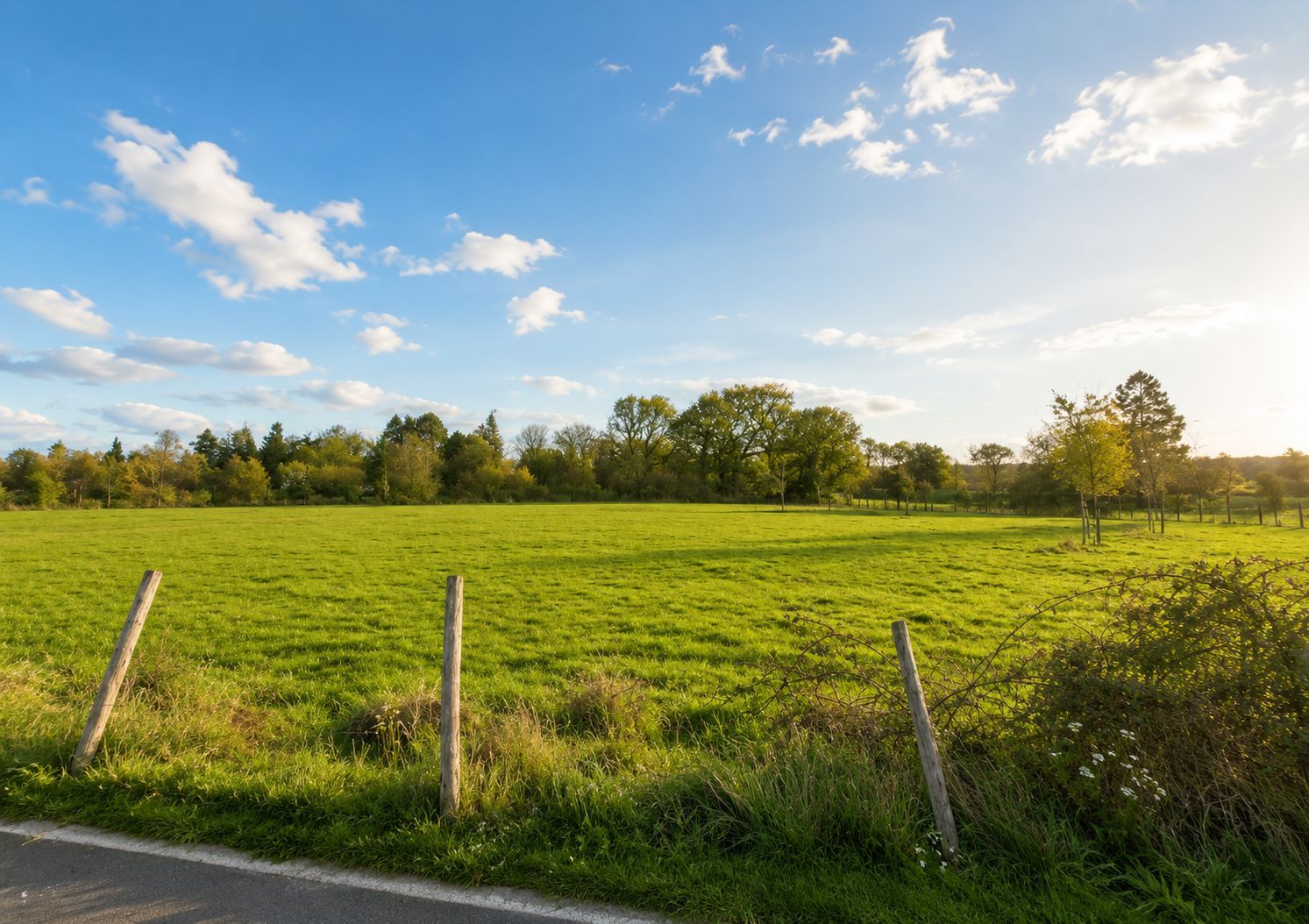 Terrain à bâtir 357 m² à Bruz (35170)