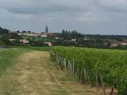 Terrain à bâtir 876 m² à Pissotte (85200)