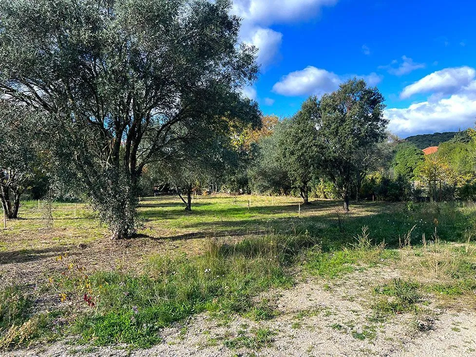 Maison neuve 88 m² à Loupian (34140)