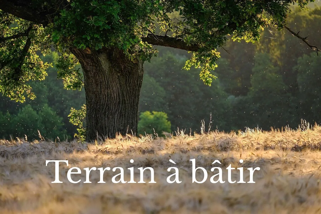 Terrain à bâtir à Villeneuve-lès-Maguelone