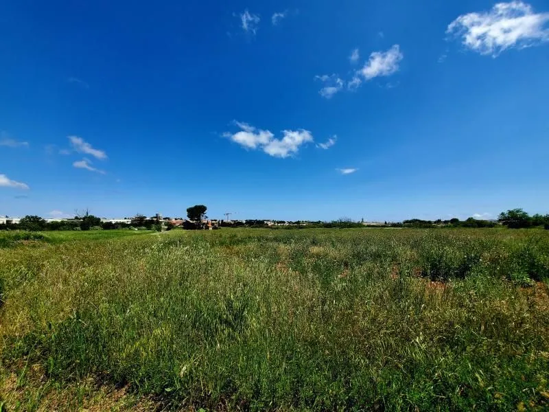 Maison neuve 50 m² à Marseillan (34340)