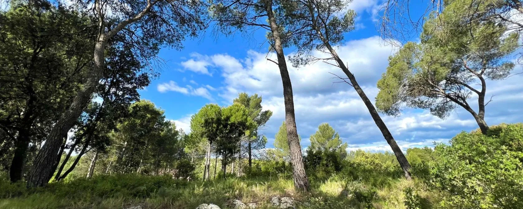 Maison neuve 97 m² à Guzargues (34820)