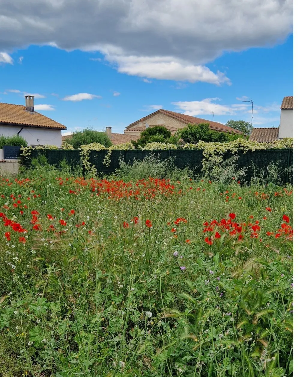 Terrain à bâtir 315 m² à Mauguio (34130)