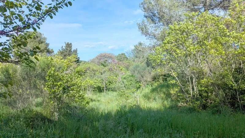 Maison neuve 88 m² à Montpellier (34000)