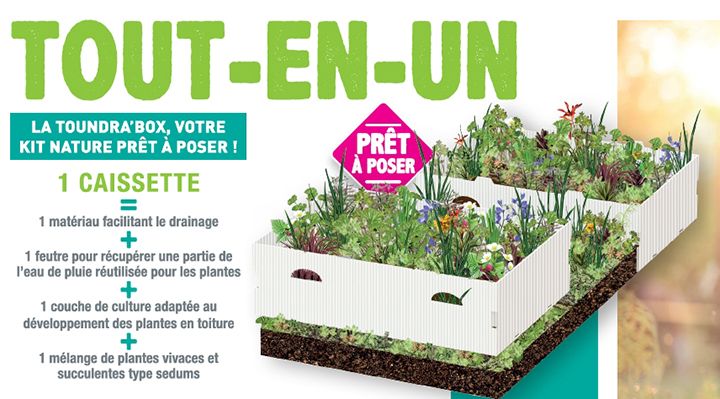 cassette-vegetalisation-toundrabox-soprema