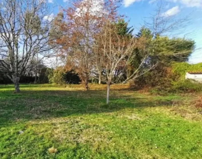 Maison neuve 210 m² à Esbly (77450)