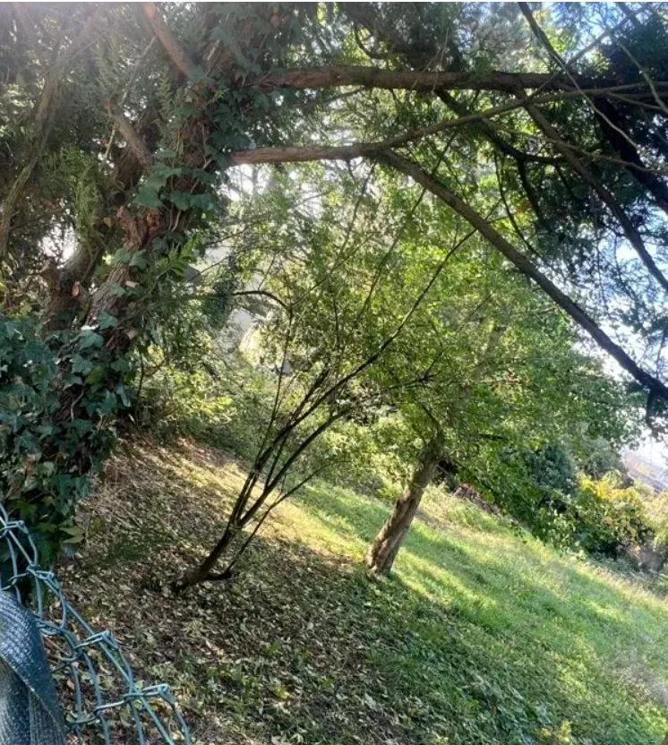 Maison neuve 120 m² à Claye-Souilly (77410)