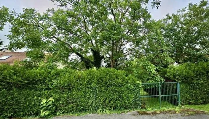 Maison neuve 120 m² à Esbly (77450)