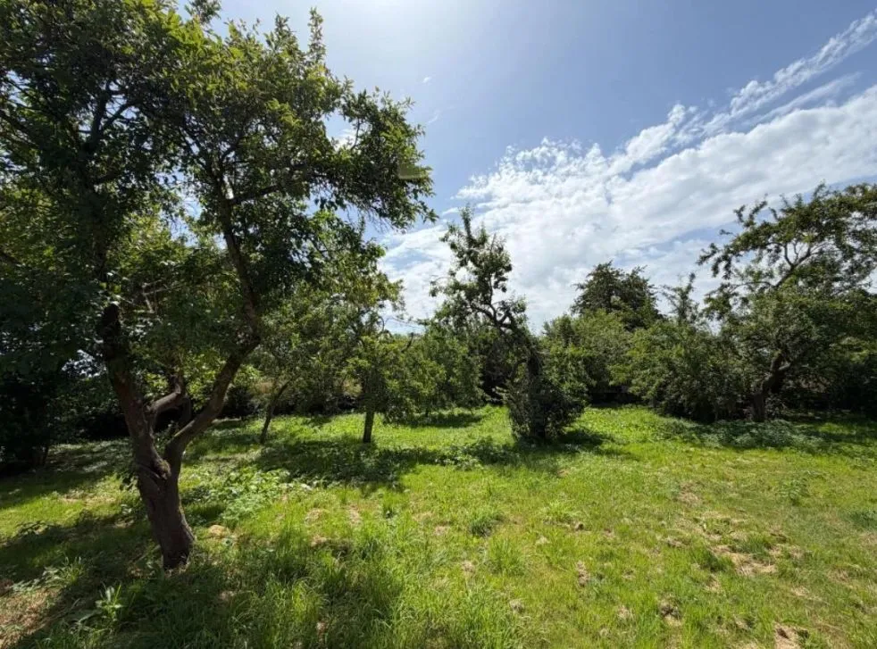 Maison neuve 155 m² à Saint-Lubin-de-la-Haye (28410)