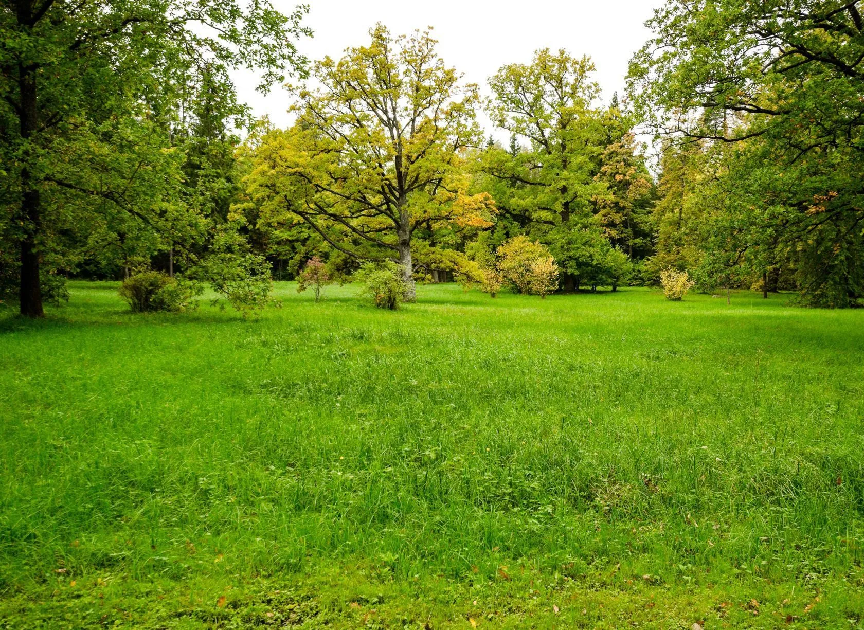 Maison neuve 100 m² à Combs-la-Ville (77380)