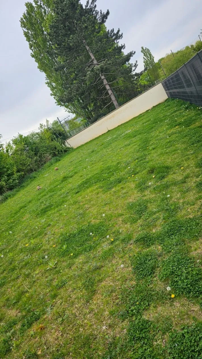 Maison neuve 120 m² à Chessy (77700)