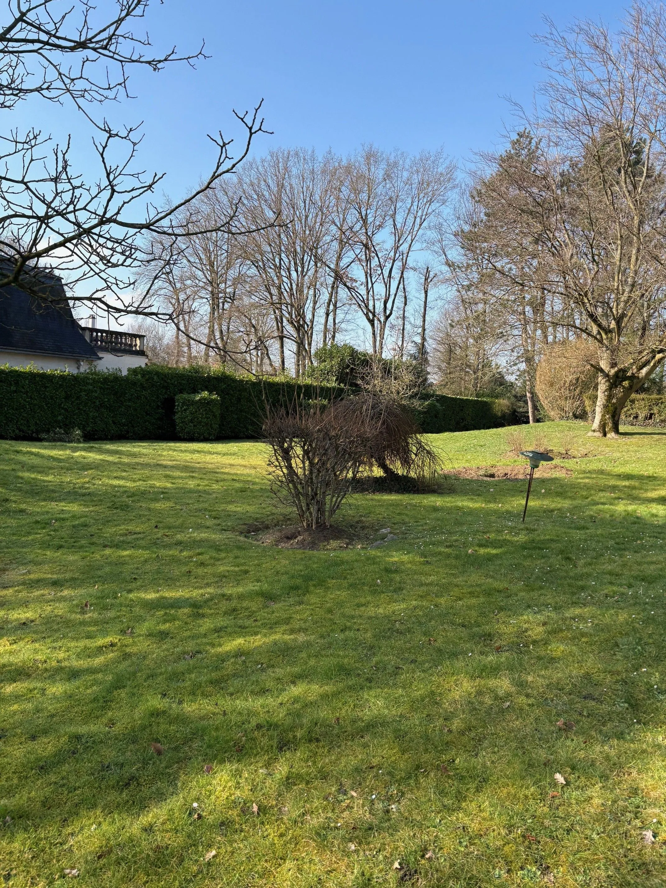 Maison neuve 130 m² à Chelles (77500)
