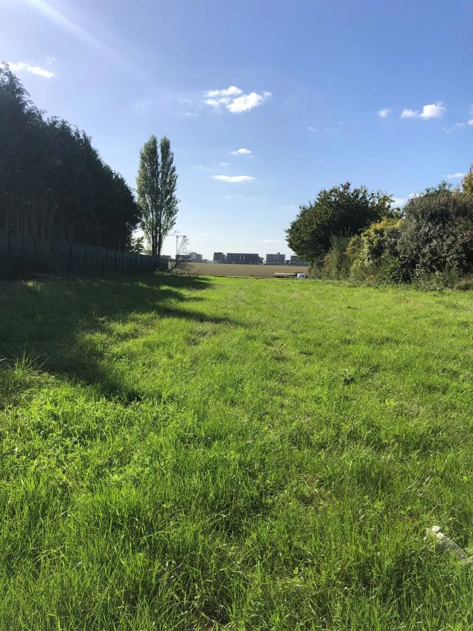 Maison neuve 100 m² à Boissise-le-Roi (77310)
