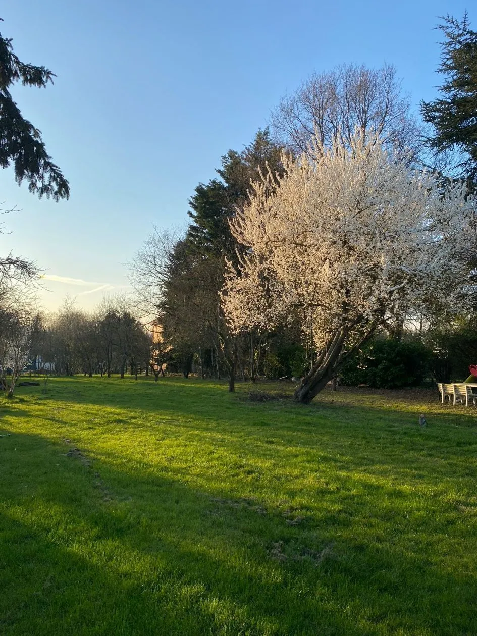 Maison neuve 125 m² à Varennes-Jarcy (91480)