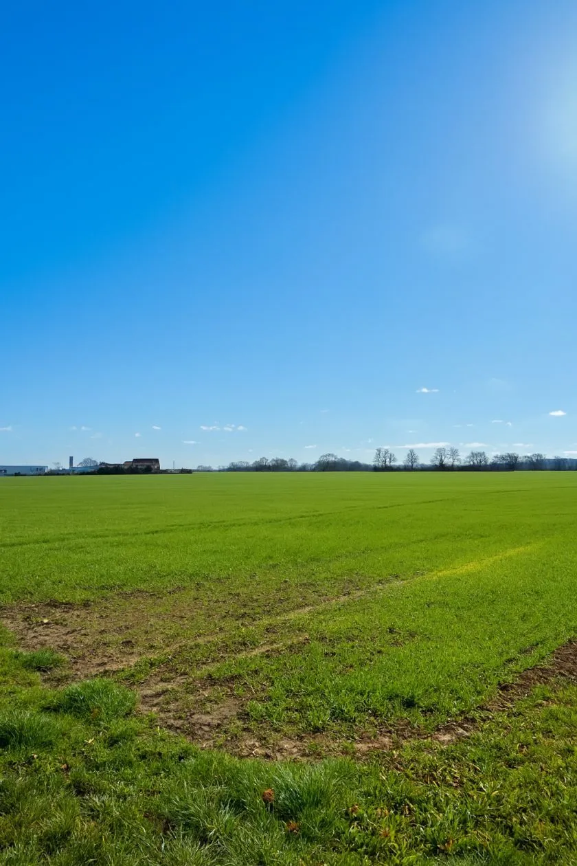 Maison neuve 132 m² à Bois-le-Roi (77590)