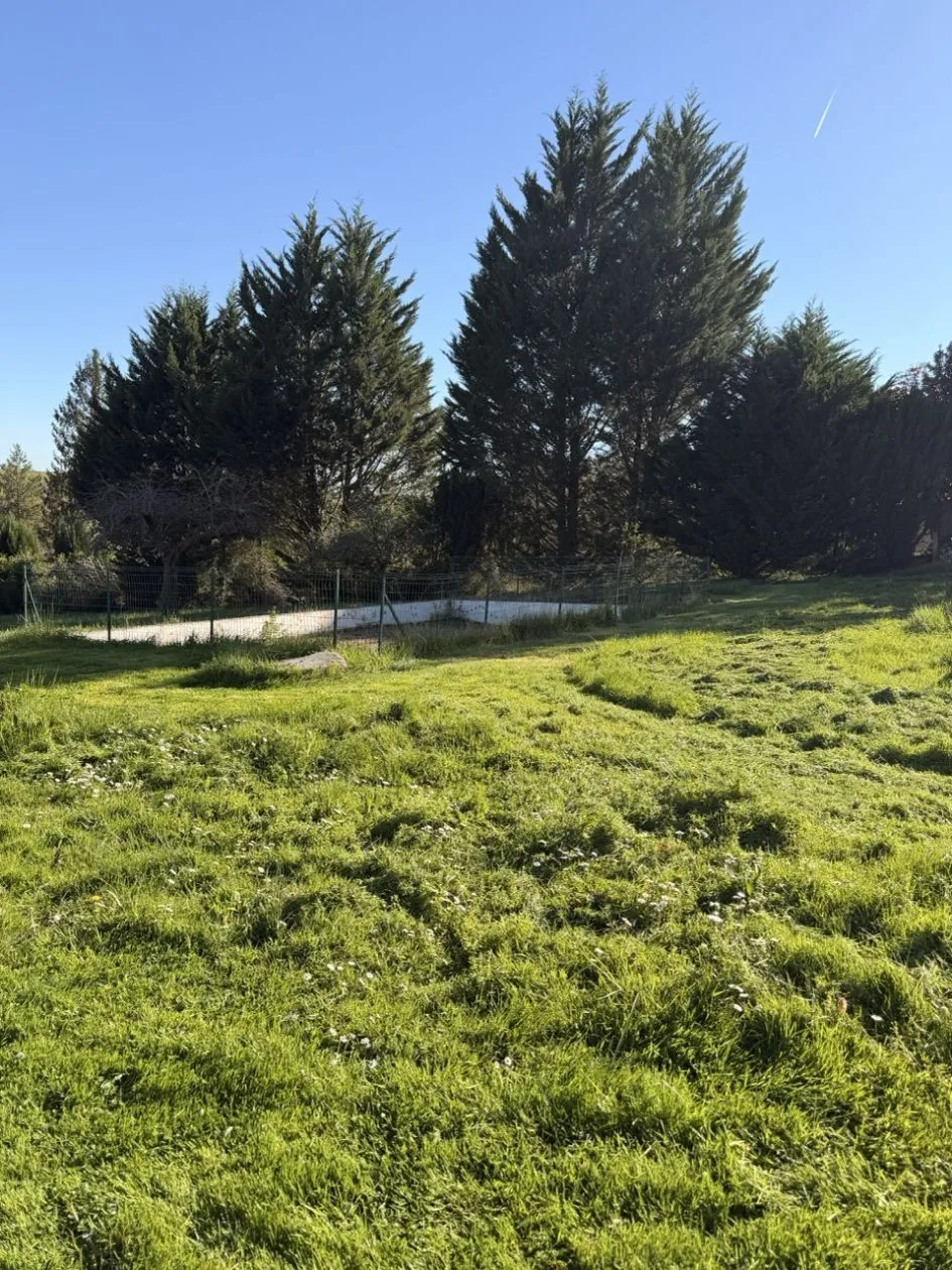 Maison neuve 97 m² à Saint-Fargeau-Ponthierry (77310)