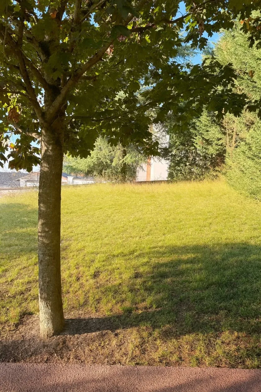 Maison neuve 139 m² à Fontainebleau (77300)