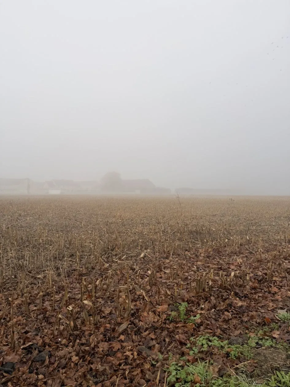 Terrain à bâtir 766 m² à Avrainville (91630)